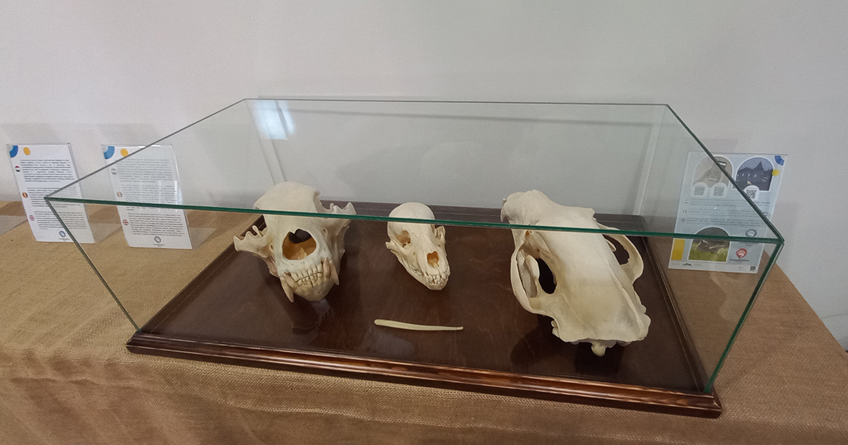 Emberbarát medvebarlang